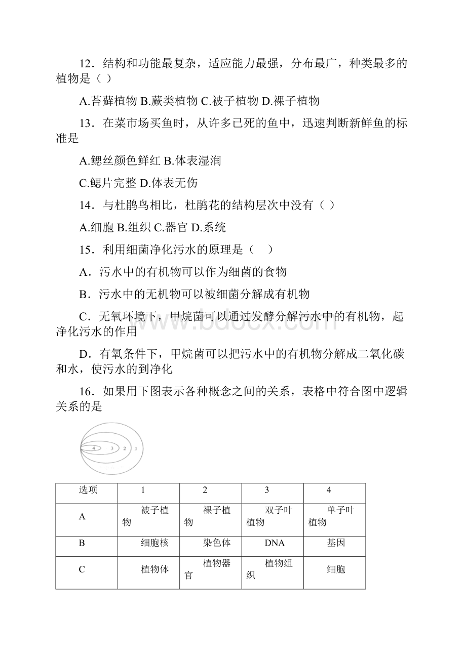 七年级下组卷3.docx_第3页