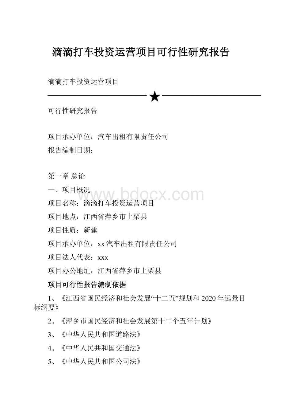 滴滴打车投资运营项目可行性研究报告.docx