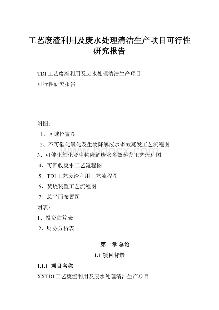 工艺废渣利用及废水处理清洁生产项目可行性研究报告.docx_第1页