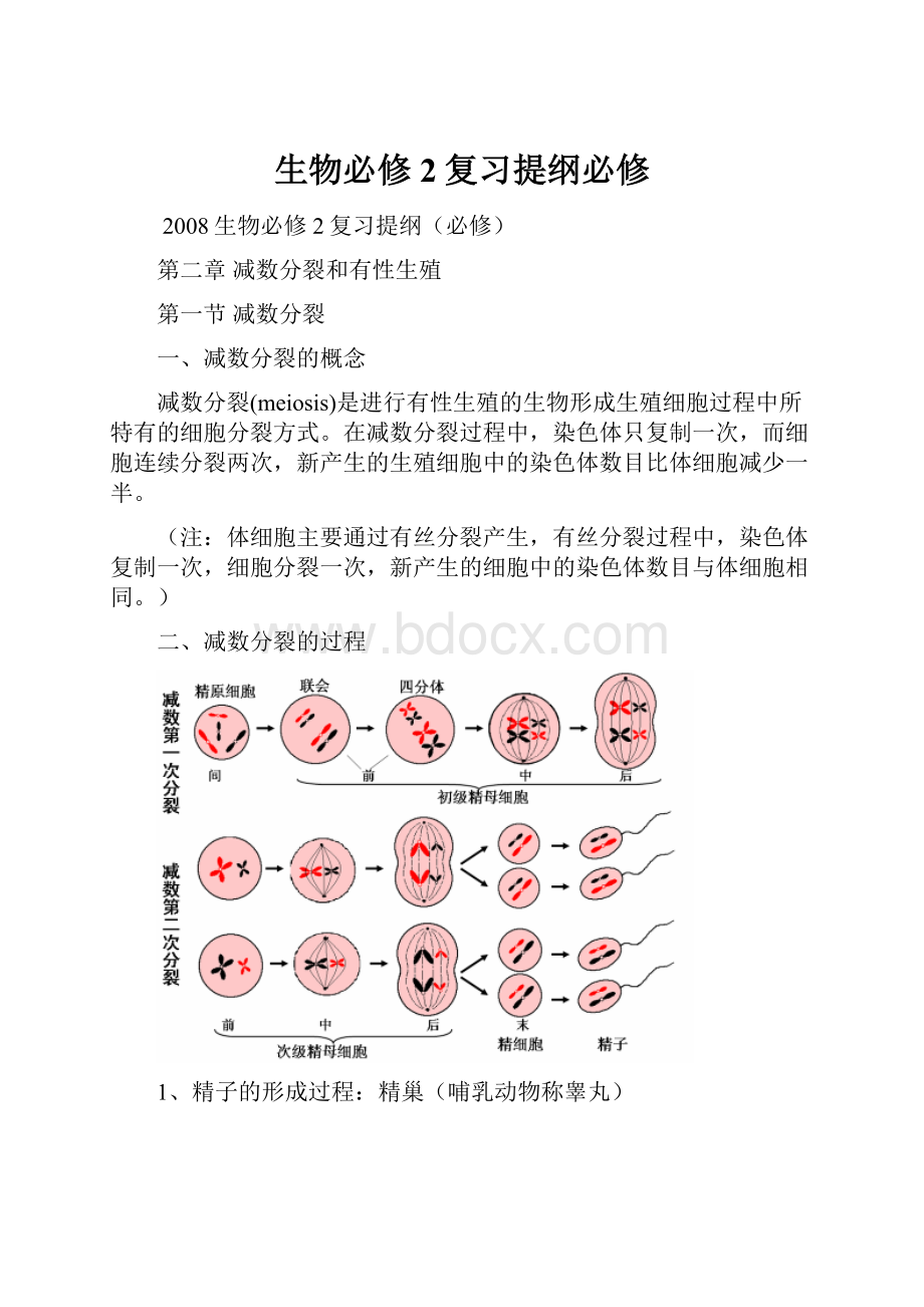 生物必修2复习提纲必修.docx