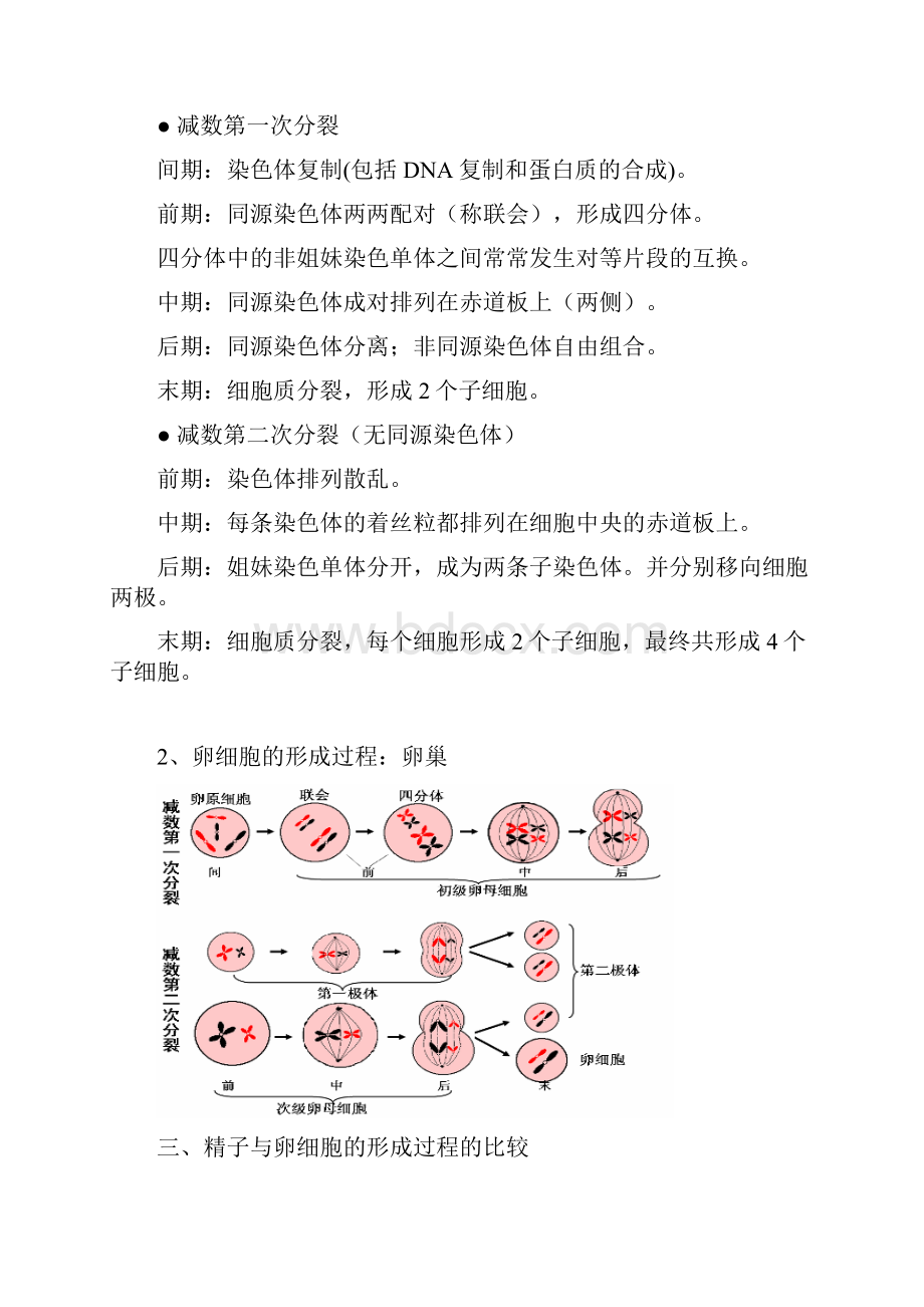 生物必修2复习提纲必修.docx_第2页