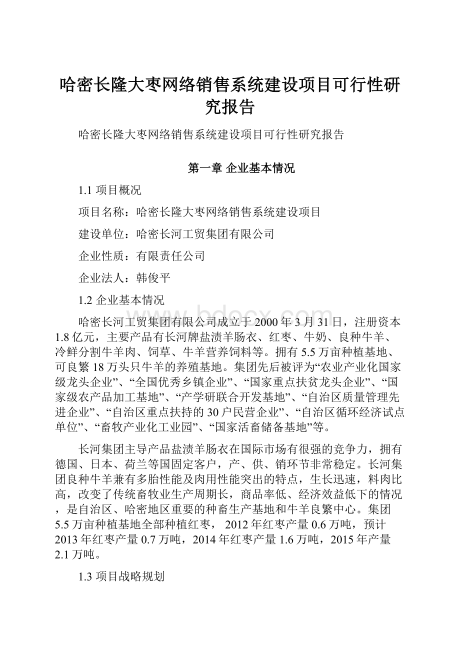 哈密长隆大枣网络销售系统建设项目可行性研究报告.docx_第1页