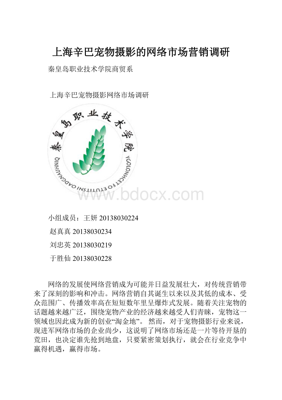 上海辛巴宠物摄影的网络市场营销调研.docx_第1页