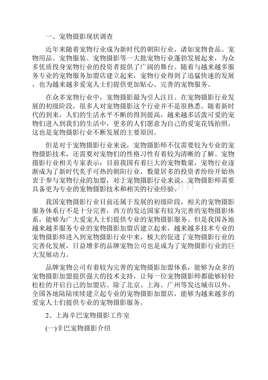 上海辛巴宠物摄影的网络市场营销调研.docx_第2页