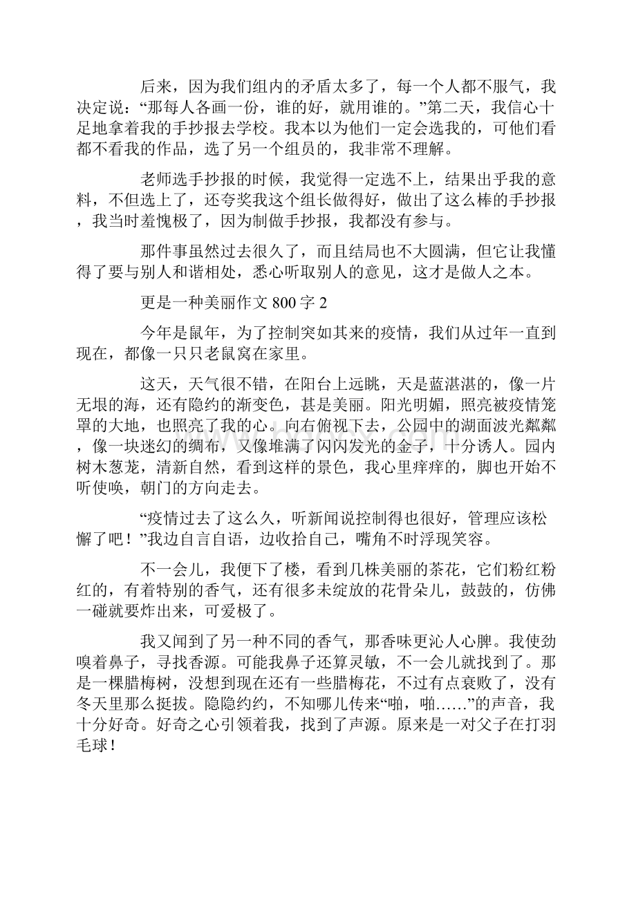 更是一种美丽作文800字.docx_第2页