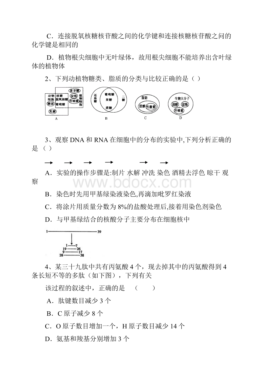 湖北省黄梅一中届高三下学期综合适应训练四理综试题.docx_第2页