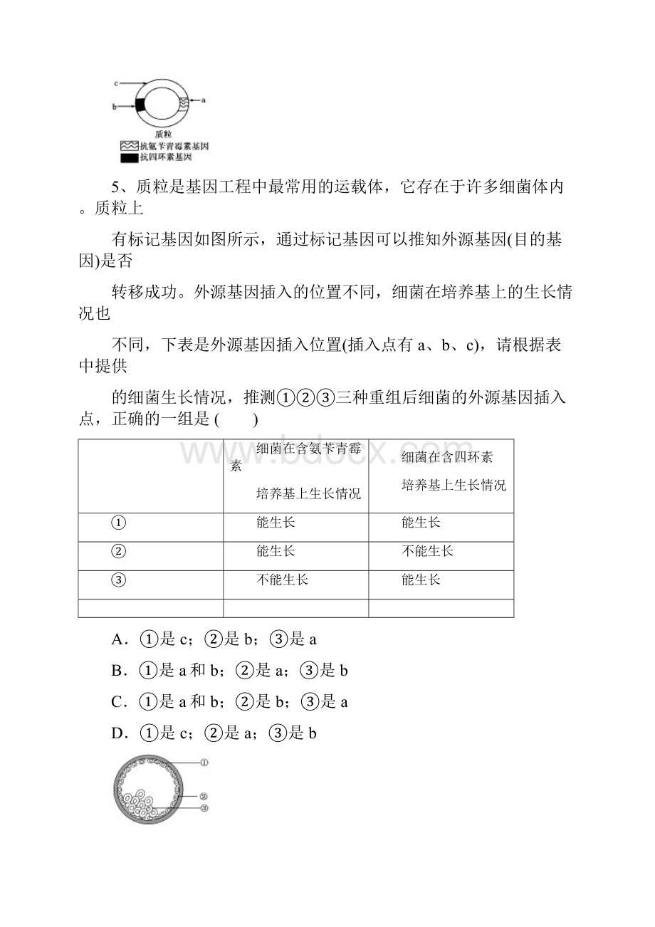 湖北省黄梅一中届高三下学期综合适应训练四理综试题.docx_第3页