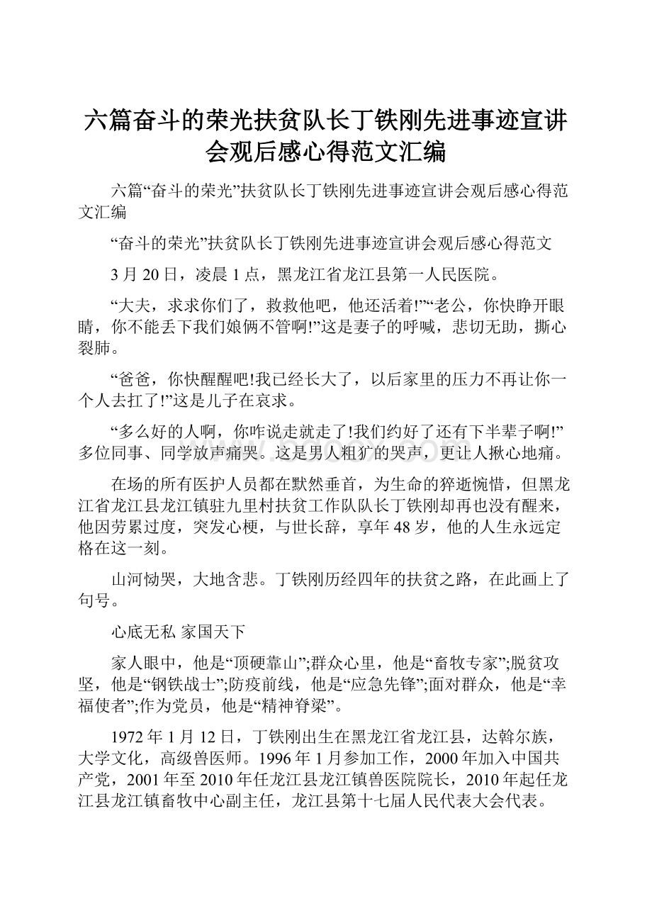 六篇奋斗的荣光扶贫队长丁铁刚先进事迹宣讲会观后感心得范文汇编.docx