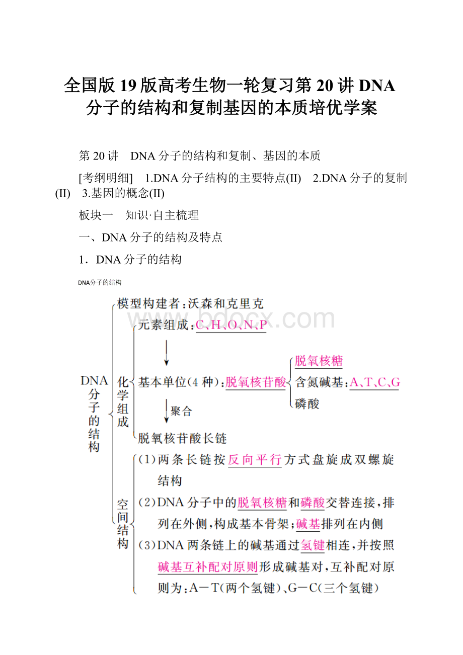 全国版19版高考生物一轮复习第20讲DNA分子的结构和复制基因的本质培优学案.docx_第1页