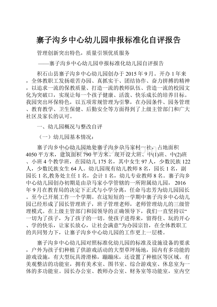 寨子沟乡中心幼儿园申报标准化自评报告.docx_第1页