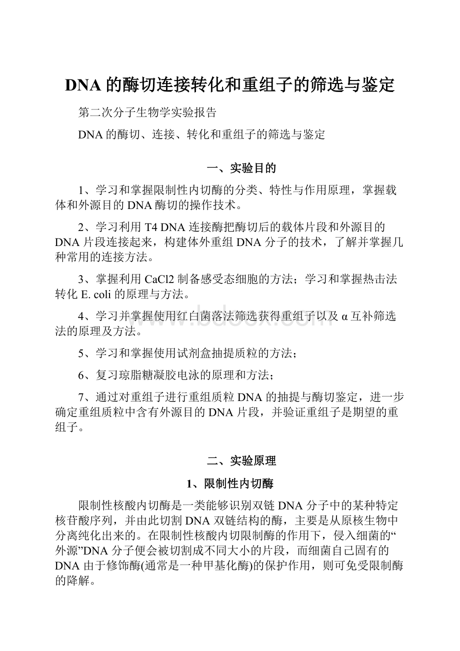 DNA的酶切连接转化和重组子的筛选与鉴定.docx_第1页