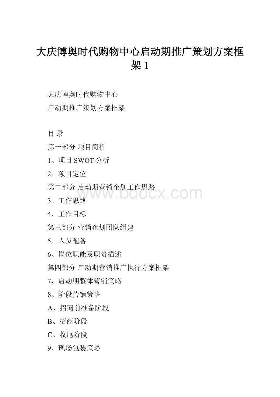 大庆博奥时代购物中心启动期推广策划方案框架1.docx