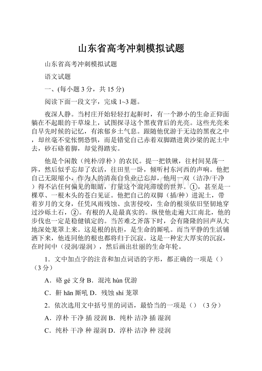 山东省高考冲刺模拟试题.docx