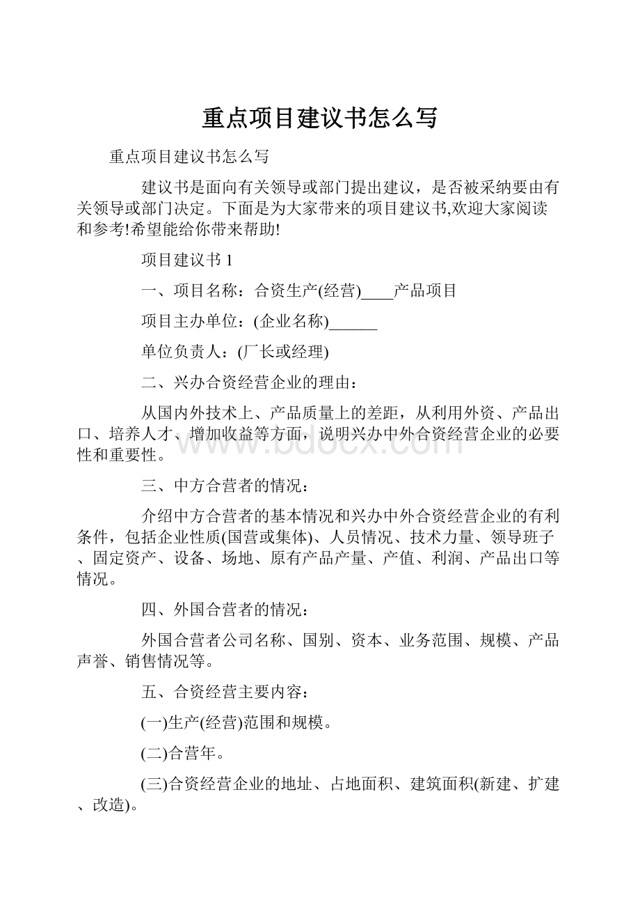 重点项目建议书怎么写.docx