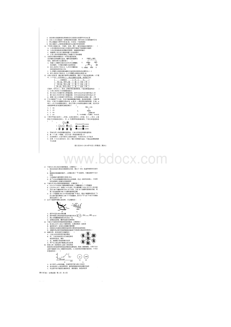安徽省安庆市望江县高三生物上学期期末考试试题扫描版新人教版.docx_第2页