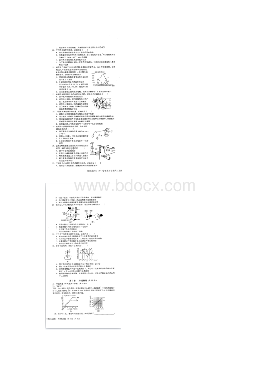 安徽省安庆市望江县高三生物上学期期末考试试题扫描版新人教版.docx_第3页