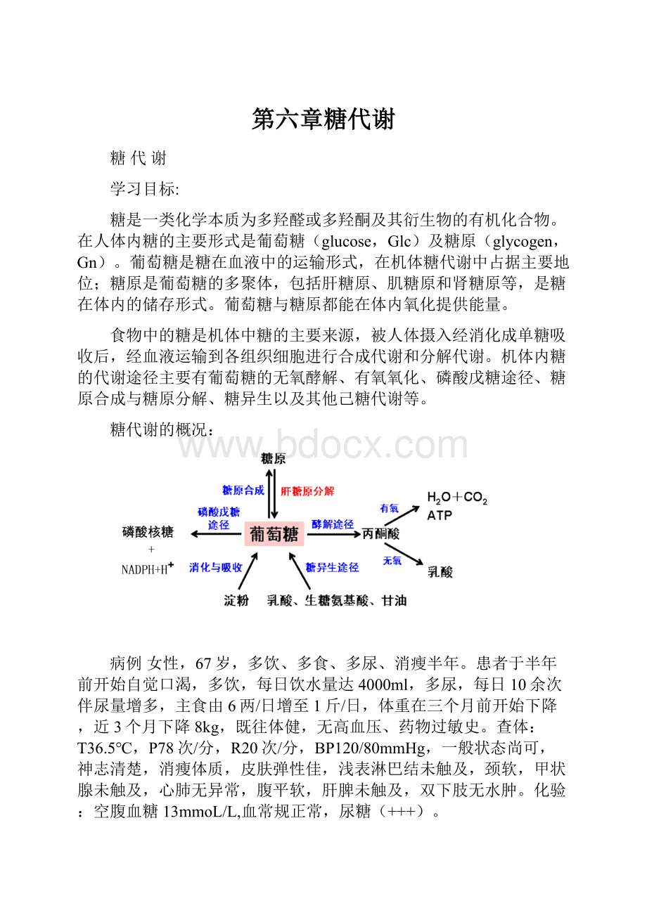 第六章糖代谢.docx_第1页