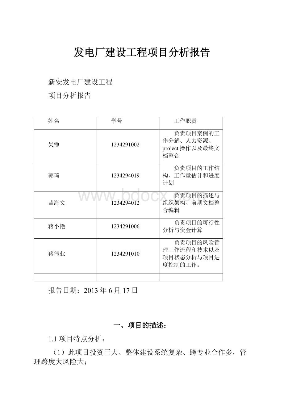 发电厂建设工程项目分析报告.docx