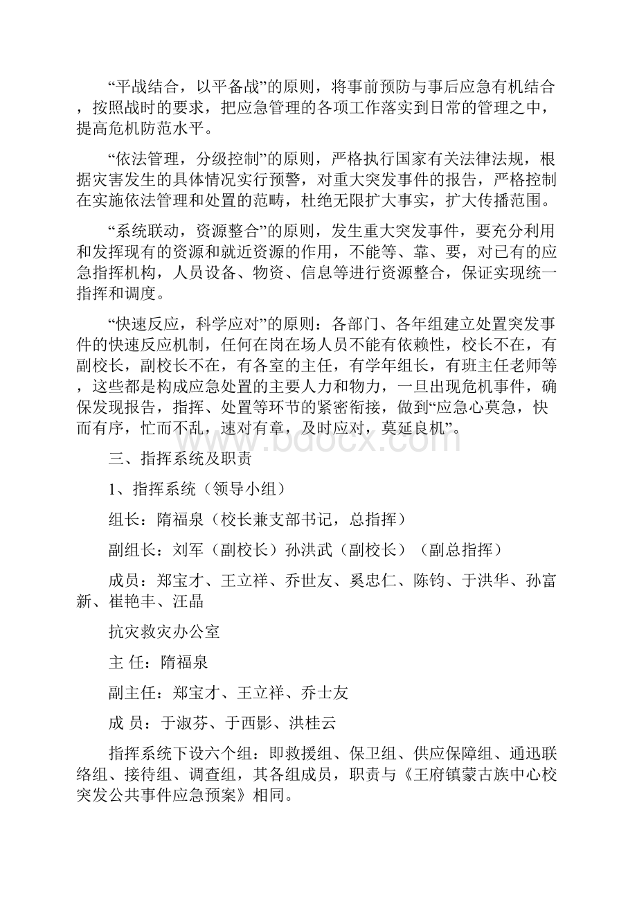 大型活动安全应急预案.docx_第3页