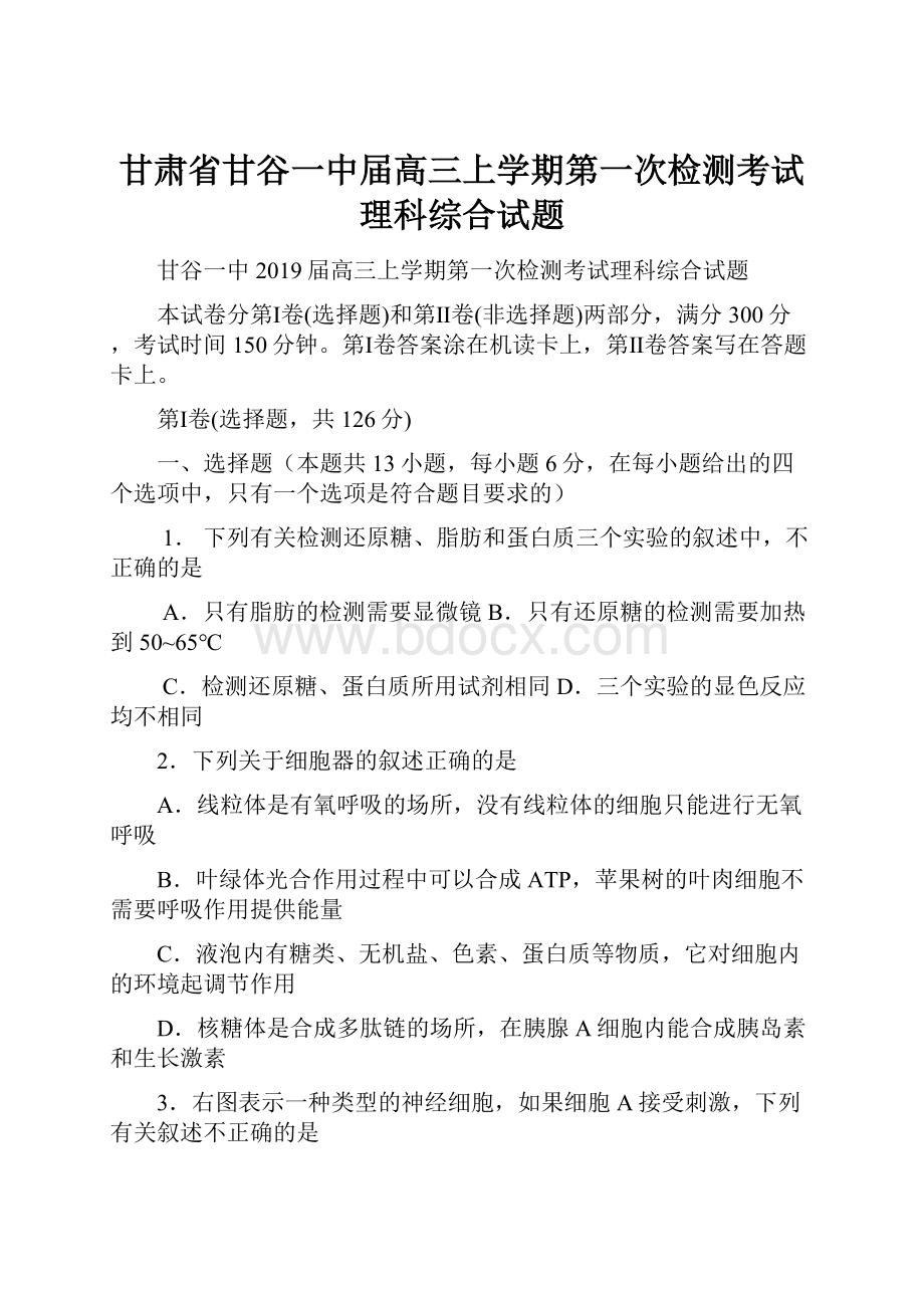 甘肃省甘谷一中届高三上学期第一次检测考试理科综合试题.docx