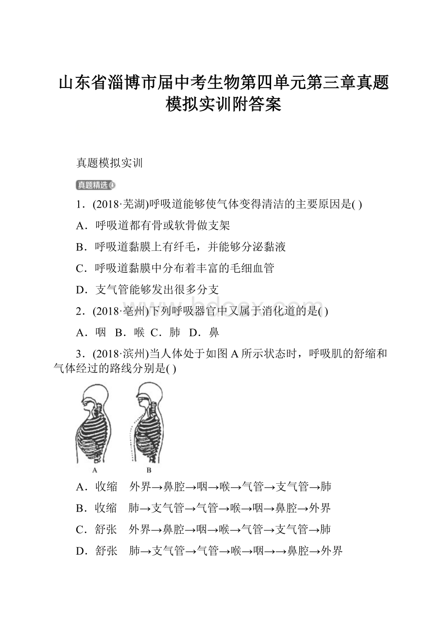 山东省淄博市届中考生物第四单元第三章真题模拟实训附答案.docx_第1页