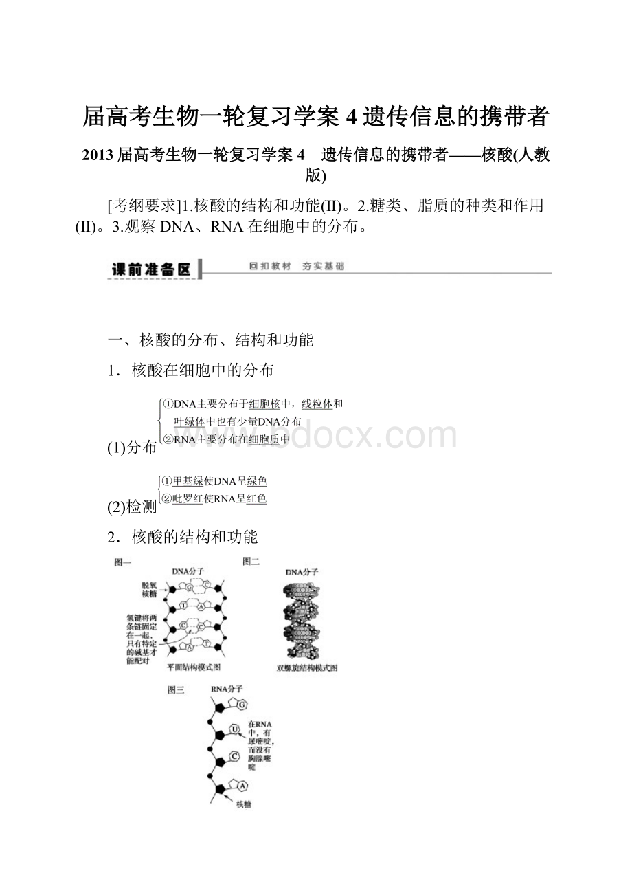 届高考生物一轮复习学案4遗传信息的携带者.docx