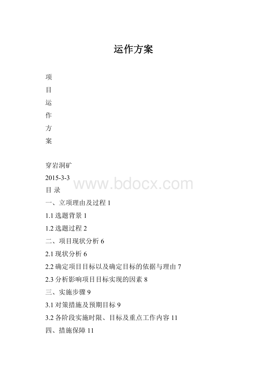 运作方案.docx_第1页