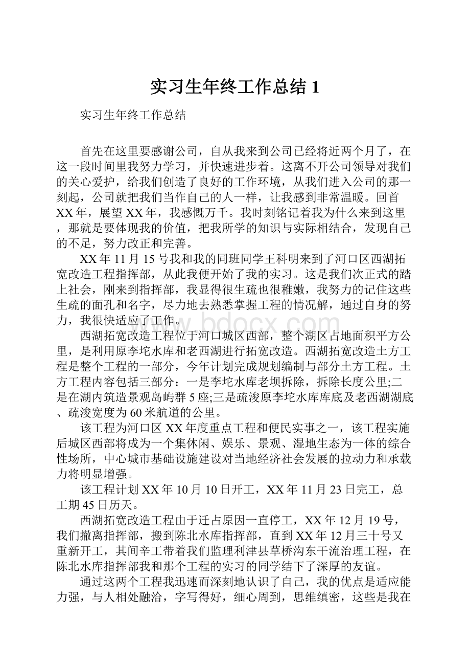 实习生年终工作总结1.docx_第1页