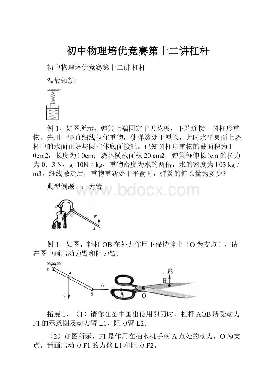 初中物理培优竞赛第十二讲杠杆.docx_第1页