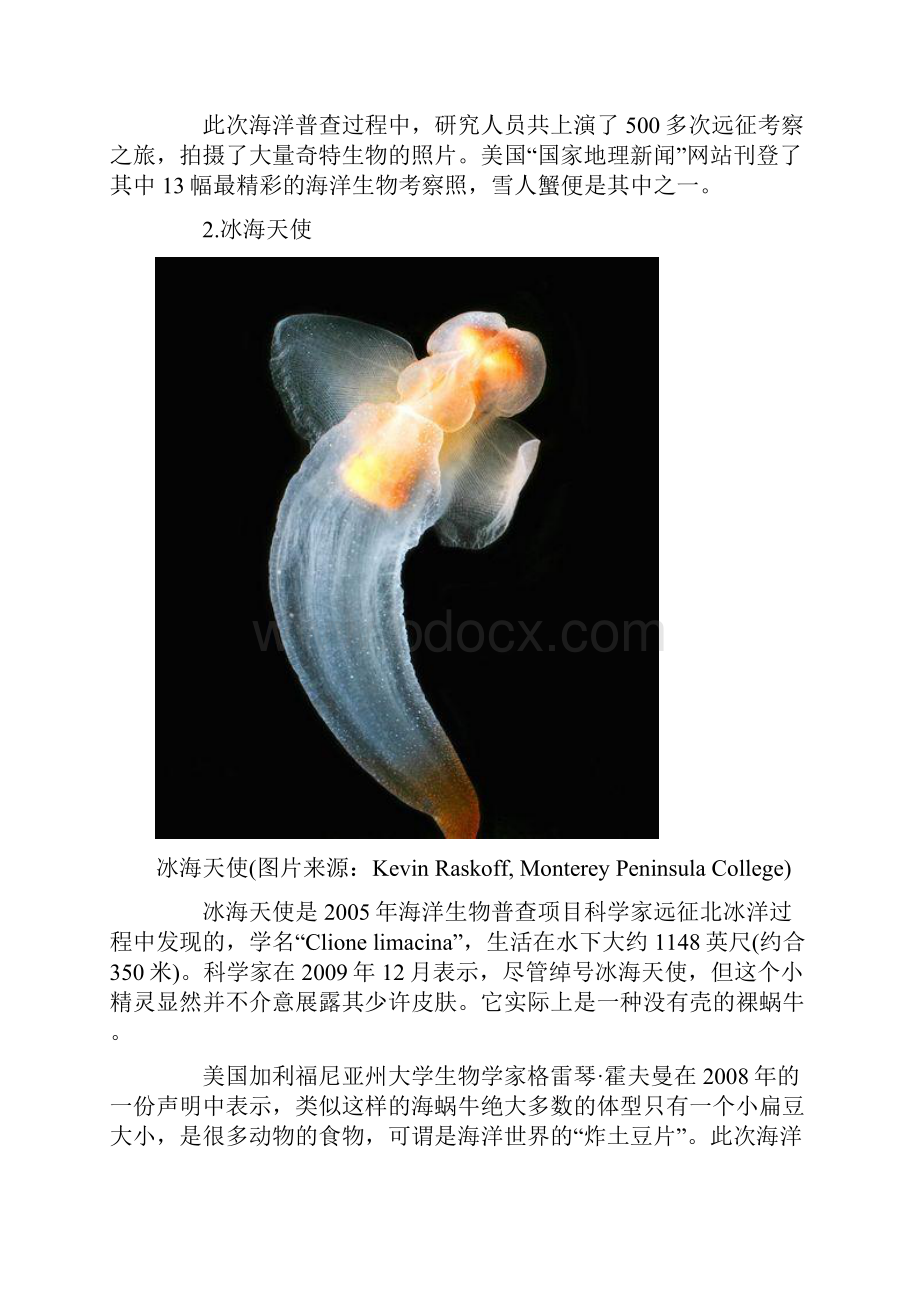 奇特海洋生物.docx_第2页