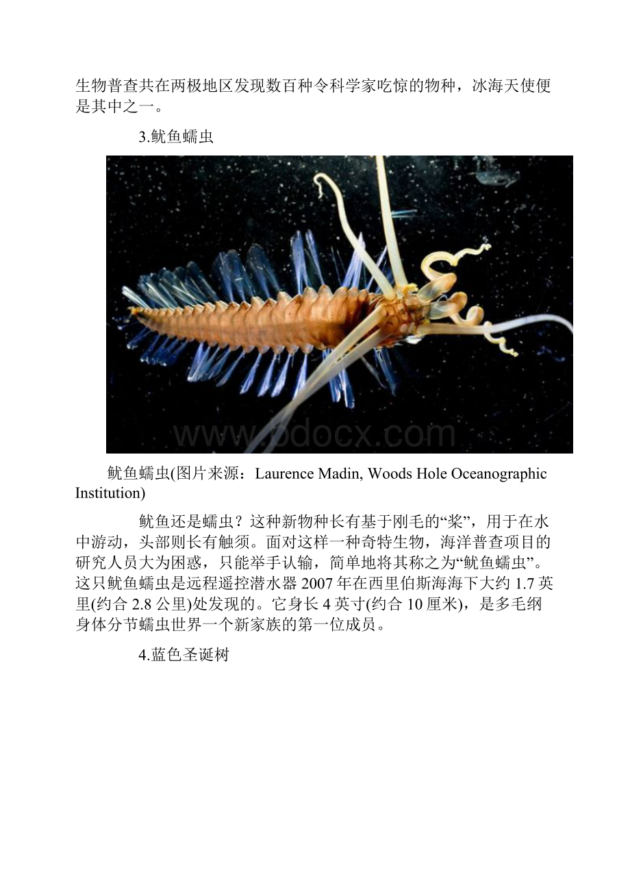 奇特海洋生物.docx_第3页