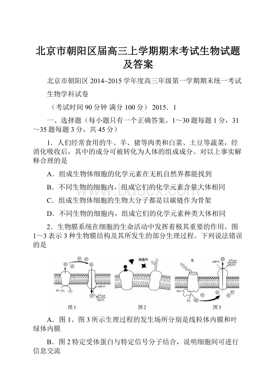 北京市朝阳区届高三上学期期末考试生物试题及答案.docx_第1页