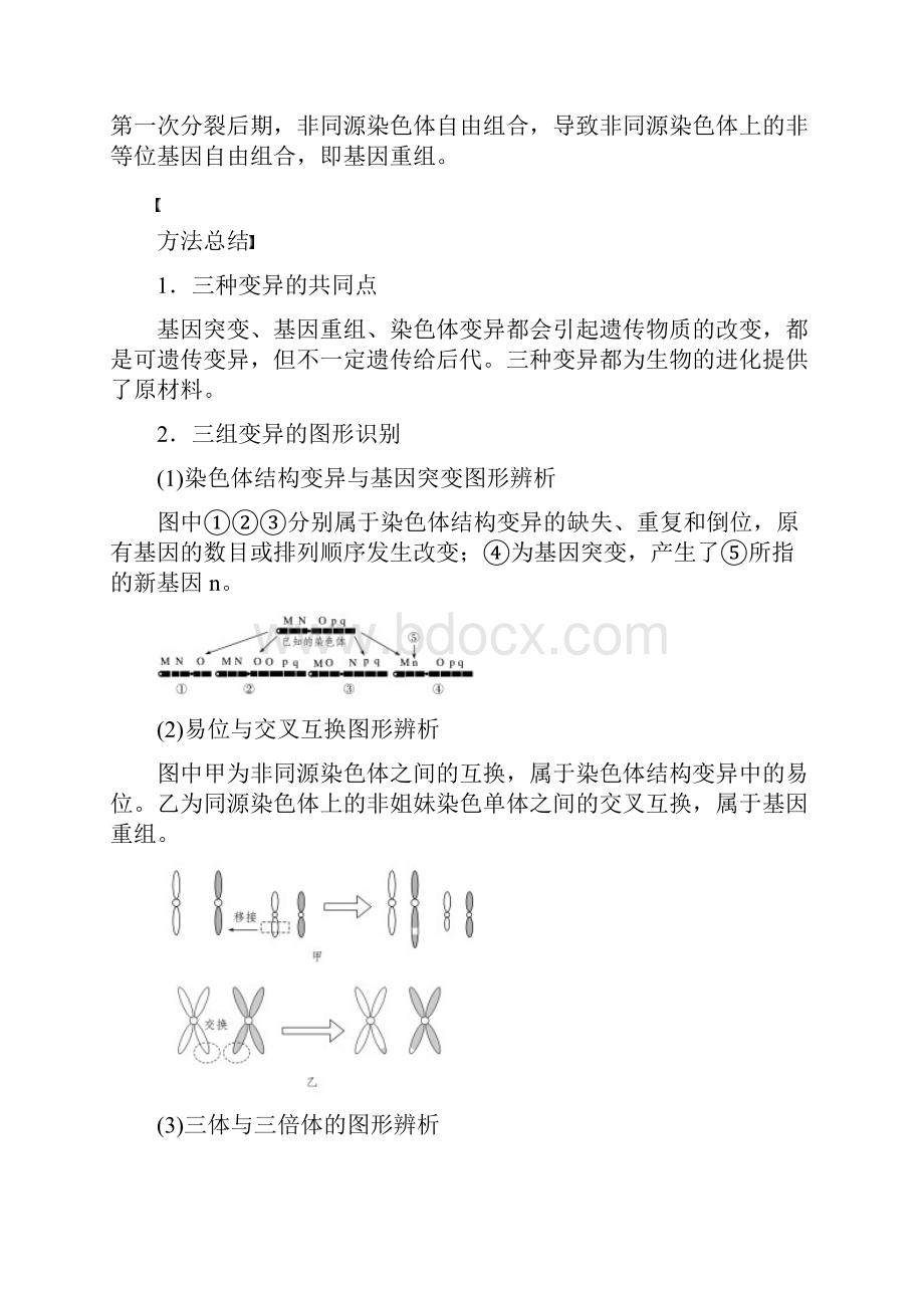 高中生物 第5章 基因突变及其他变异 微专题七 遗传变异相关的解题方法学案 新人教版必修2.docx_第2页