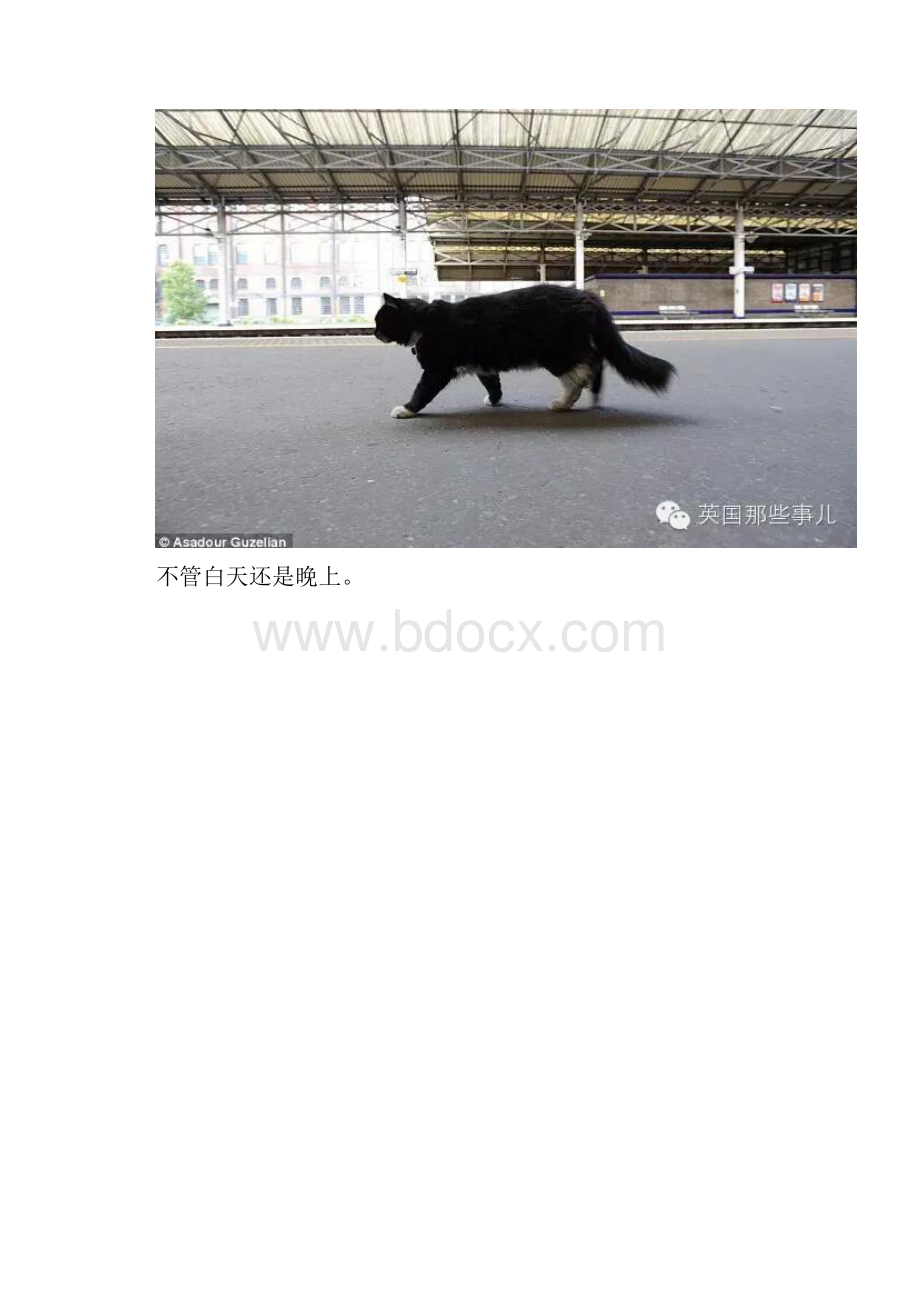 现实版黑猫警长.docx_第2页