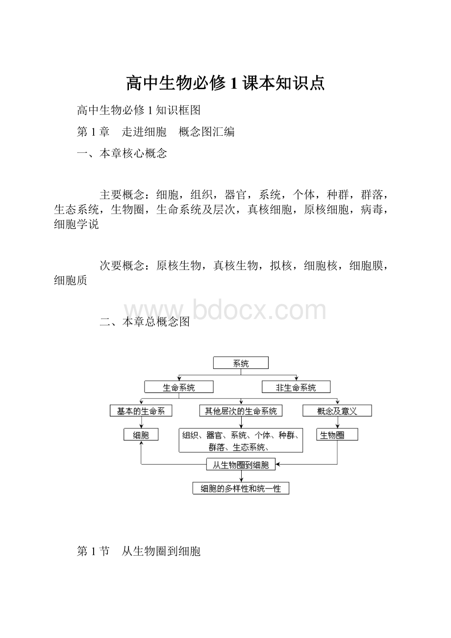 高中生物必修1课本知识点.docx_第1页