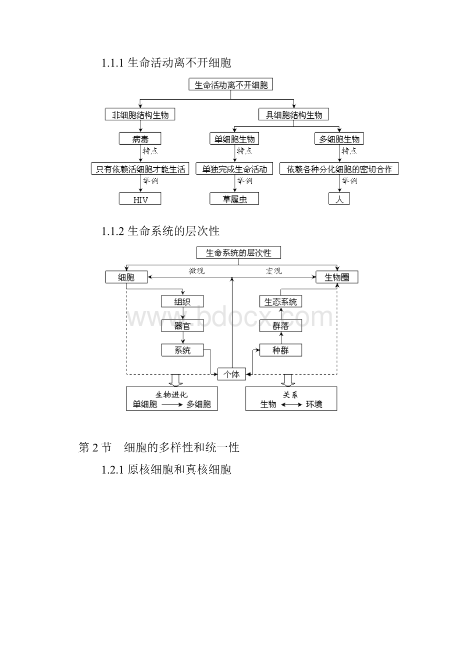 高中生物必修1课本知识点.docx_第2页