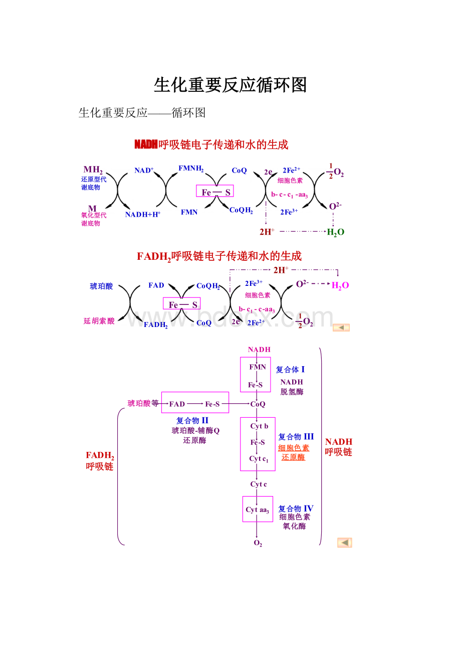 生化重要反应循环图.docx