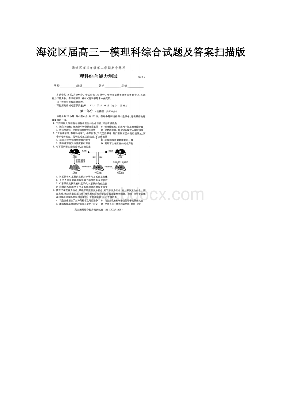 海淀区届高三一模理科综合试题及答案扫描版.docx_第1页