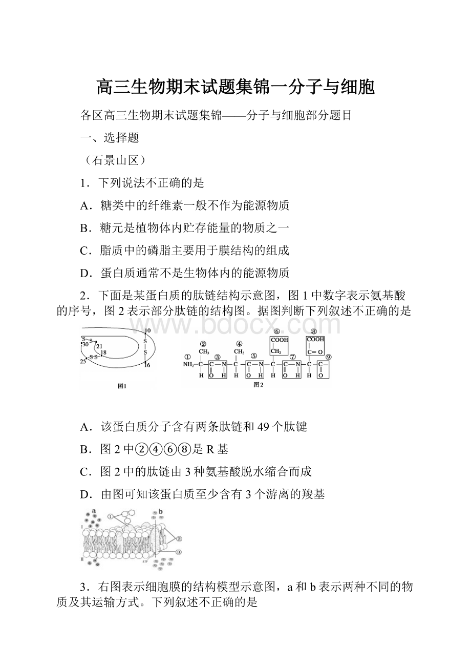 高三生物期末试题集锦一分子与细胞.docx_第1页