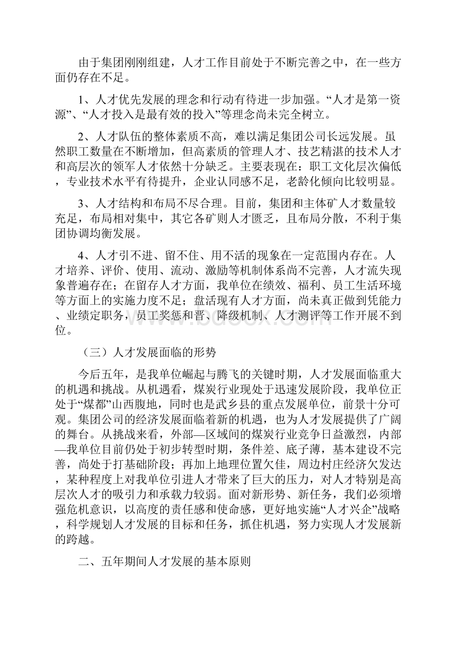 五年人才发展规划.docx_第2页