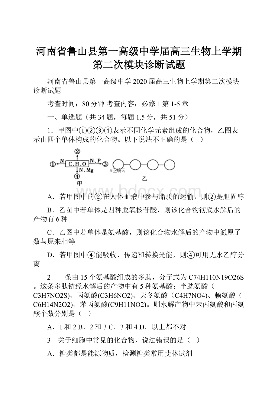 河南省鲁山县第一高级中学届高三生物上学期第二次模块诊断试题.docx_第1页