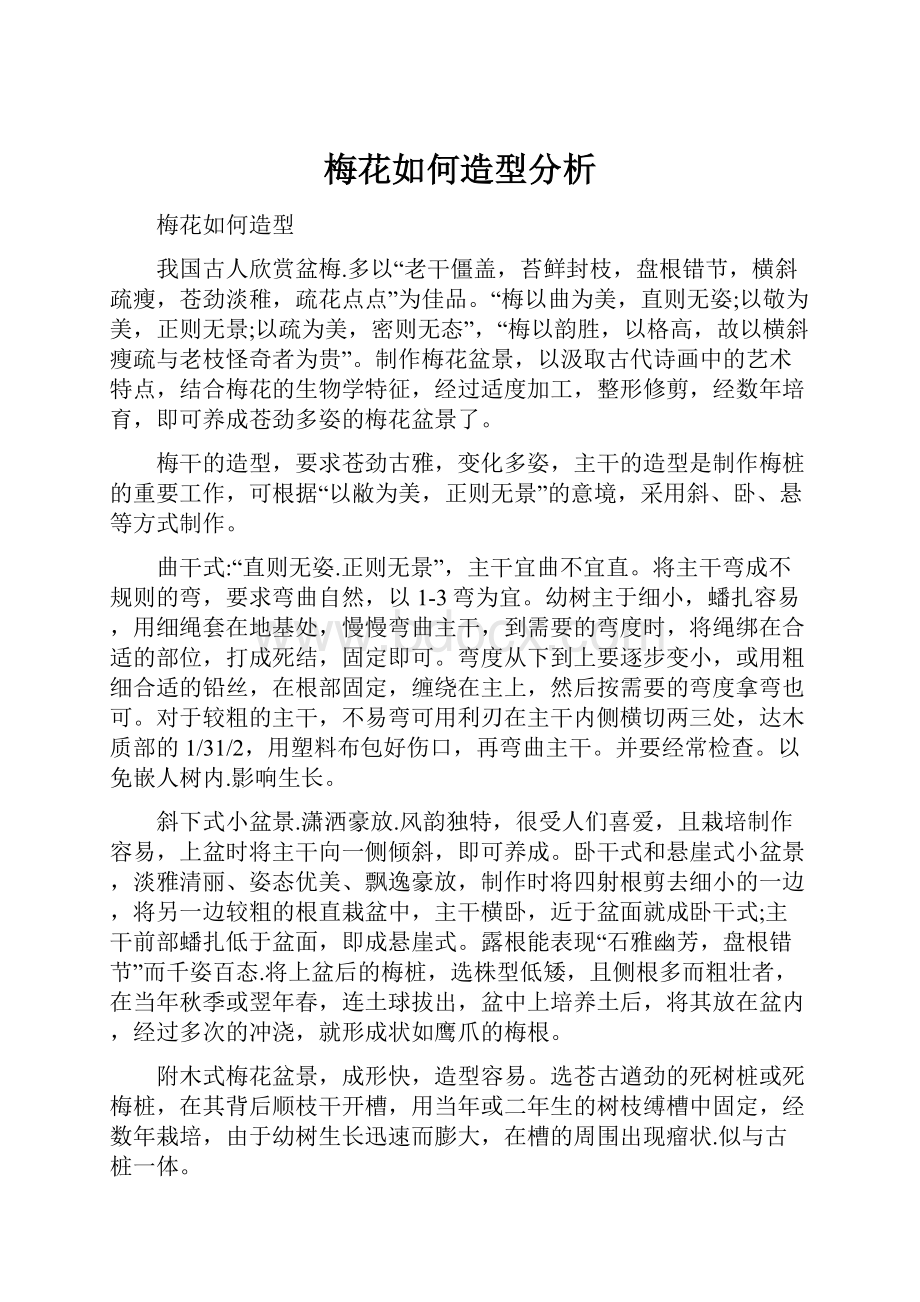 梅花如何造型分析.docx_第1页