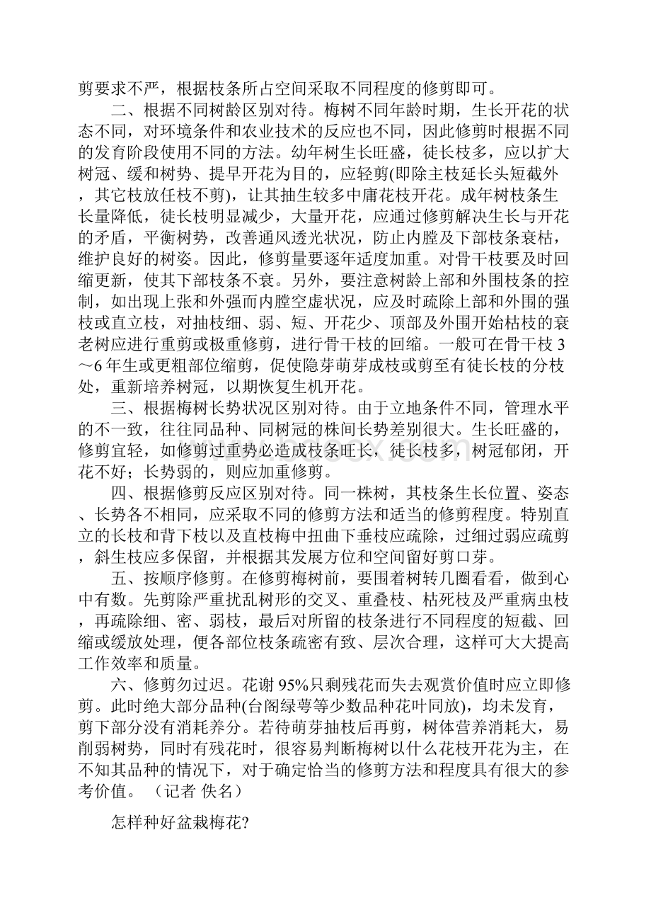 梅花如何造型分析.docx_第3页