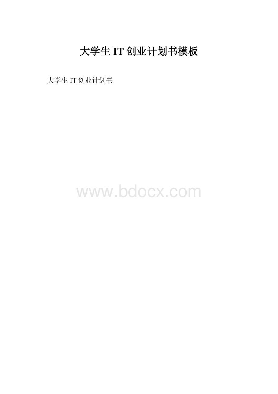 大学生IT创业计划书模板.docx