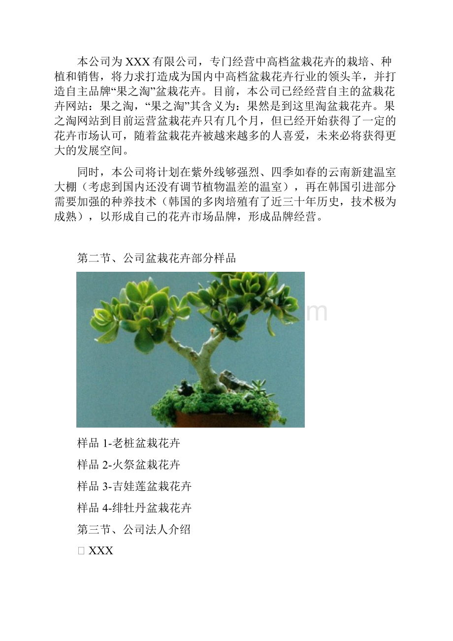 中高端盆栽花卉网站融资经营项目商业计划书.docx_第3页