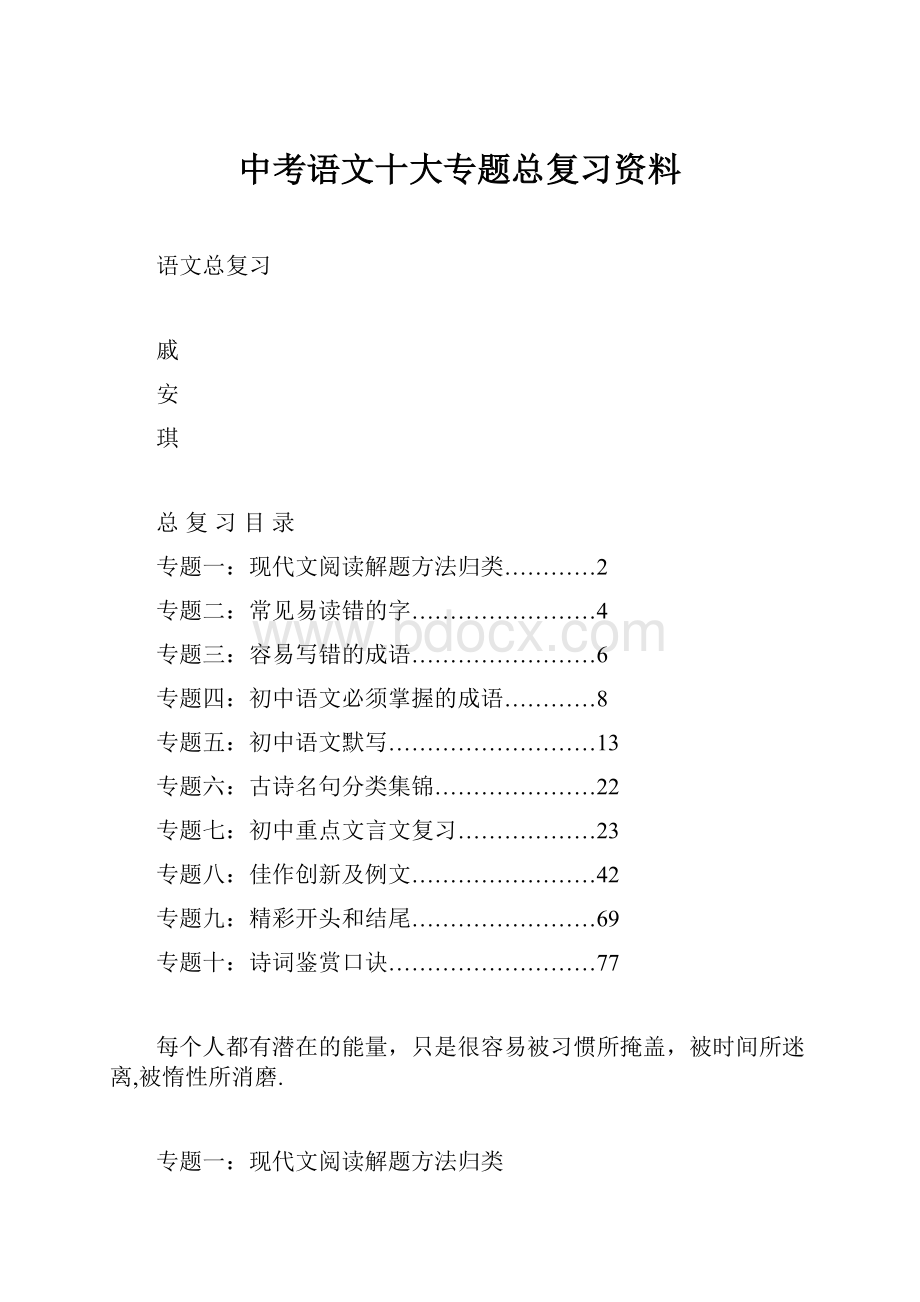 中考语文十大专题总复习资料.docx_第1页