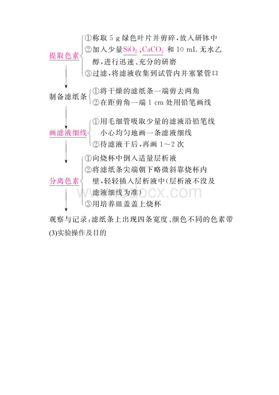 全国版版高考生物一轮复习第10讲光合作用的探究历程与基本过程培优学案.docx_第2页