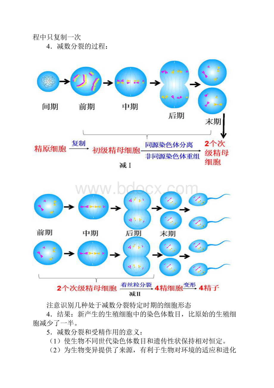 第2章 基因和染色体的关系.docx_第2页