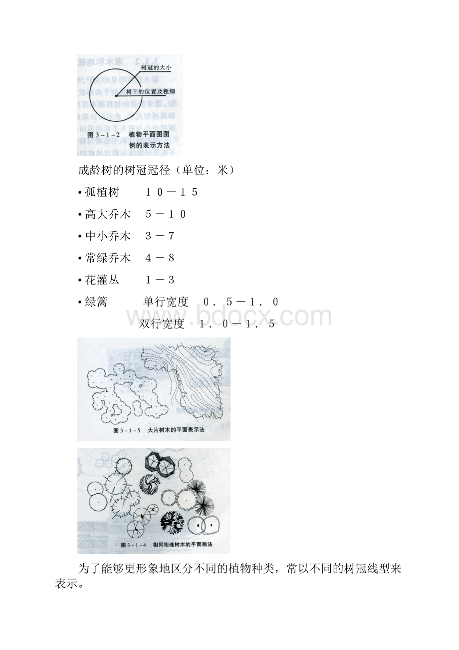 植物.docx_第2页