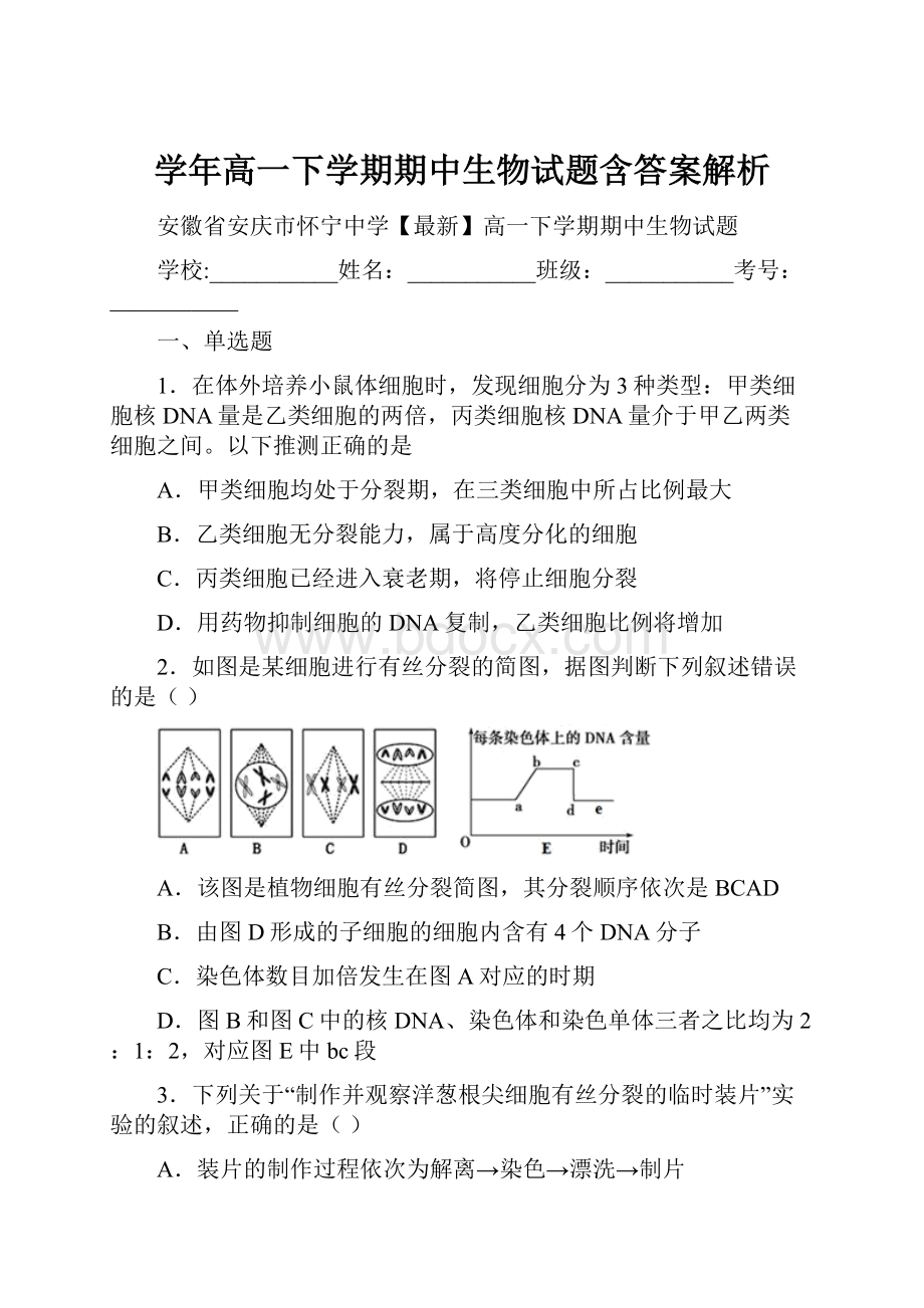 学年高一下学期期中生物试题含答案解析.docx_第1页